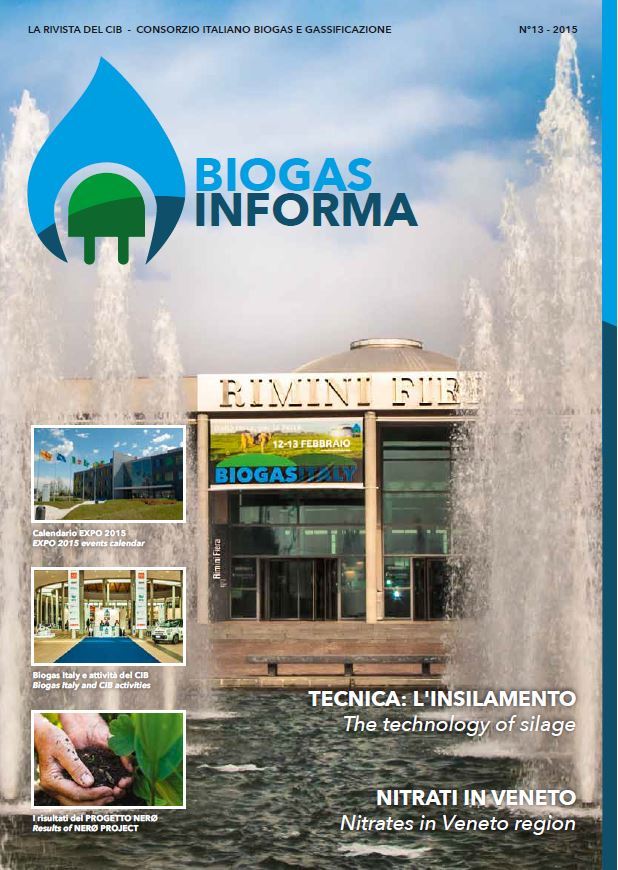 Biogas Informa 13/2015