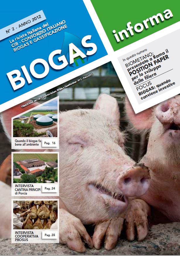 Biogas Informa 2/2012