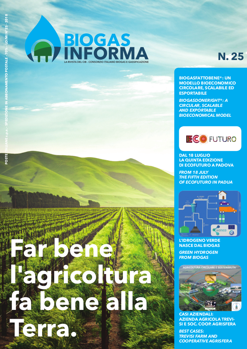 Biogas Informa 25/2018