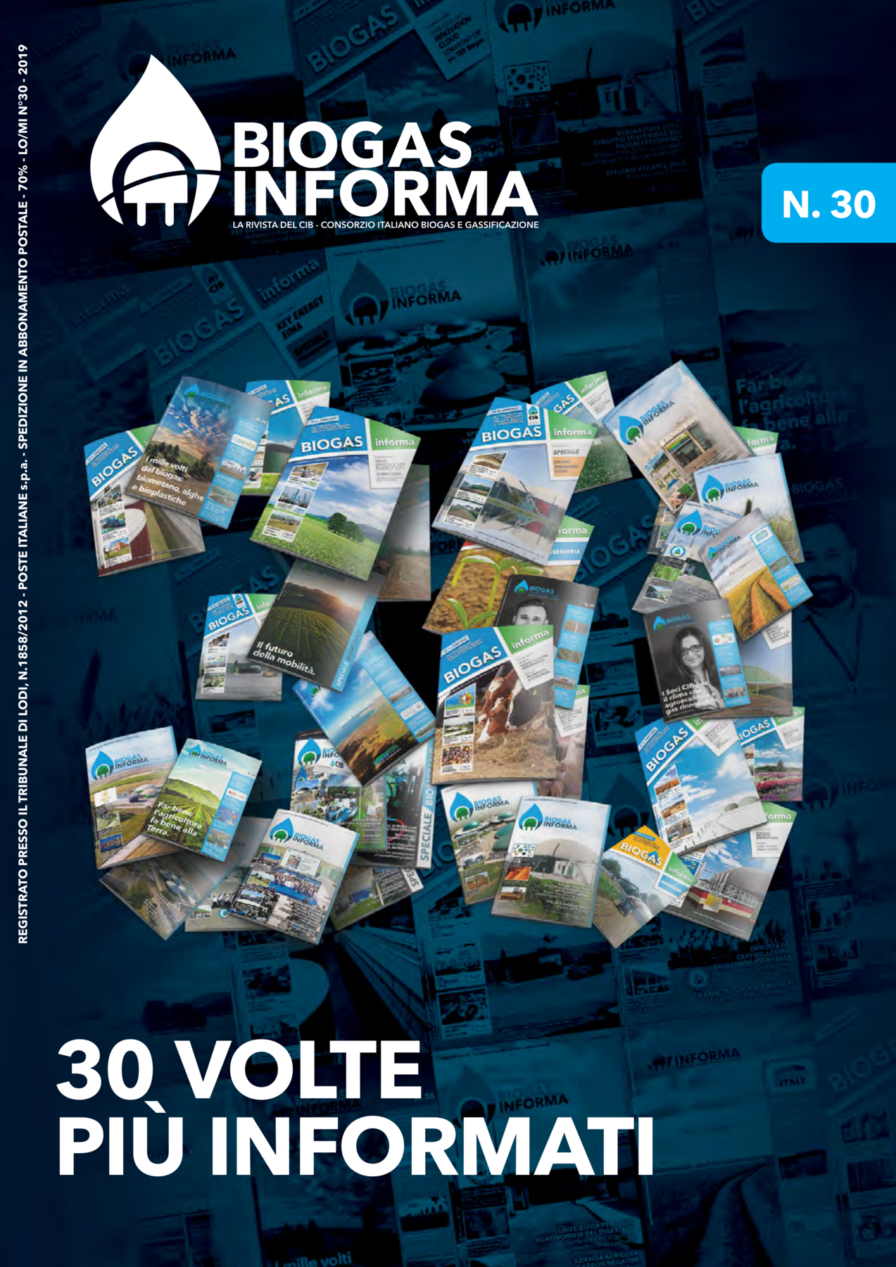 Biogas Informa 30/2019
