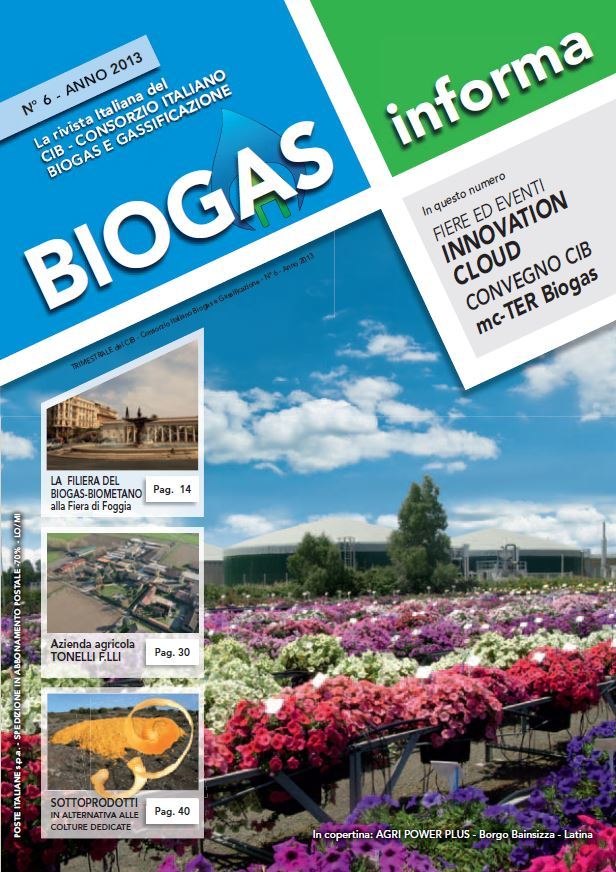 Biogas Informa 6/2013