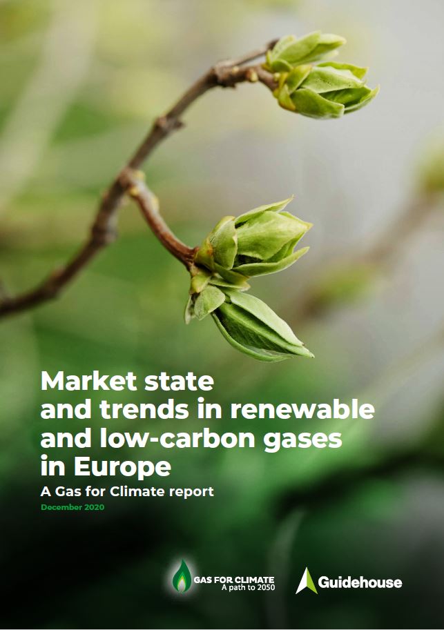 REPORT GAS FOR CLIMATE Market state and trends in renewable and low-carbon gases in Europe