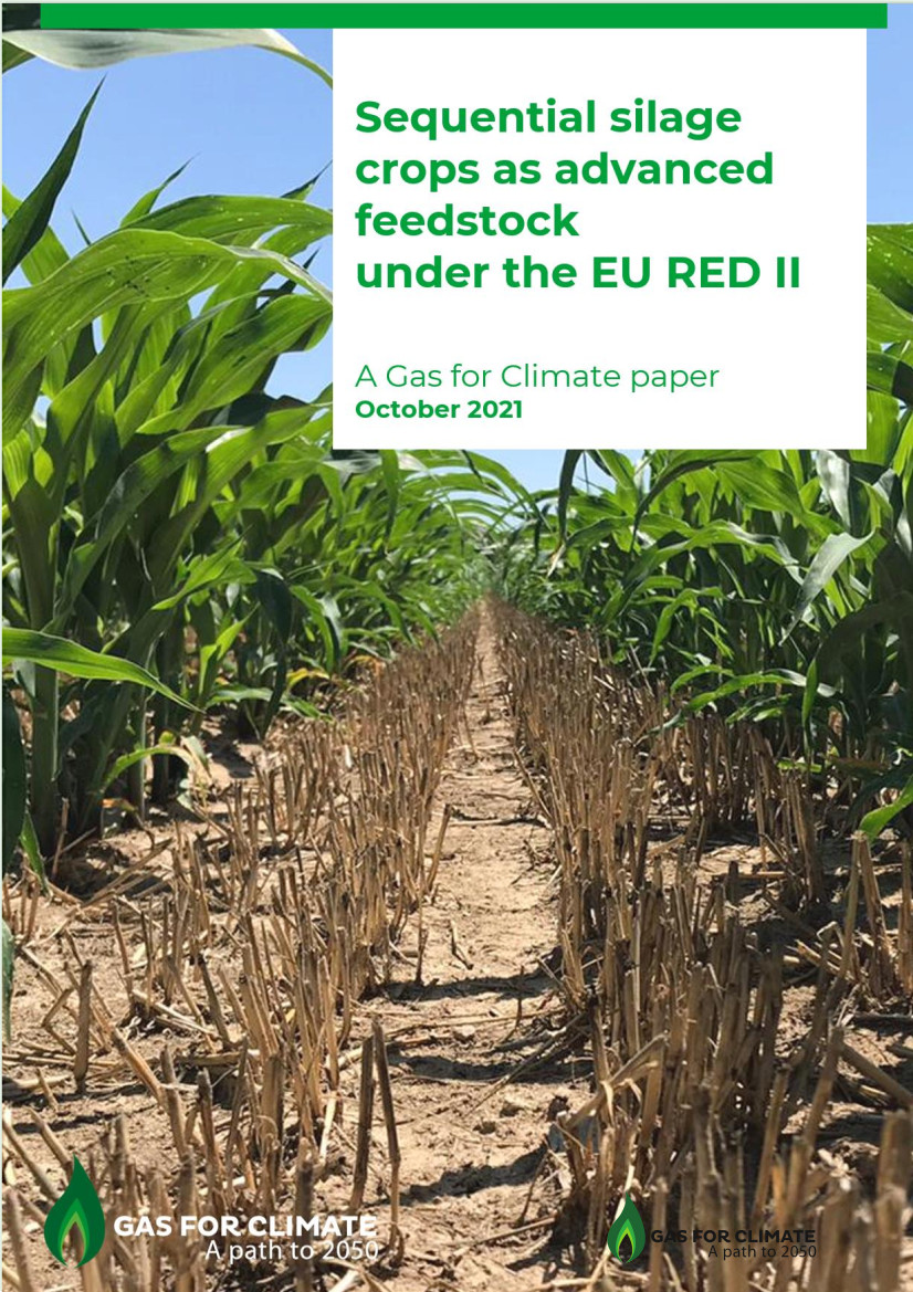 Paper di Gas for Climate: includere le doppie colture insilabili nell’Annex IX della Direttiva RED II