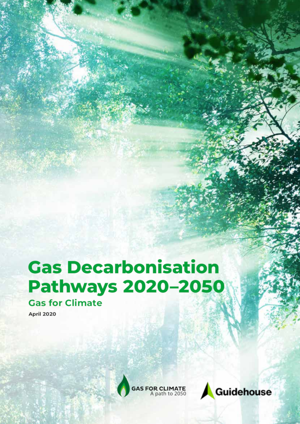 STUDIO GAS FOR CLIMATE Gas Decarbonisation Pathways 2020 – 2050