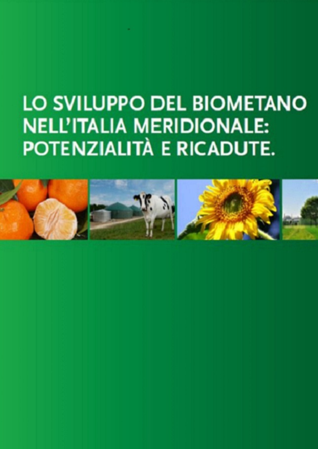 Lo sviluppo del biometano nell’Italia Meridionale: potenzialità e ricadute (2015)